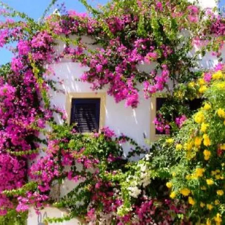 Casa Portuguesa بيت للعطل *